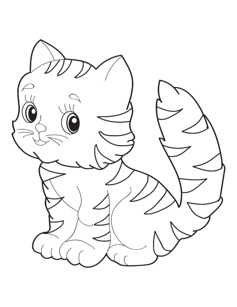 Cute Striped Kitten Simple Cat Coloring Pdf Free Vectors